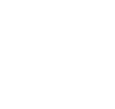 Logo Porto Seguro