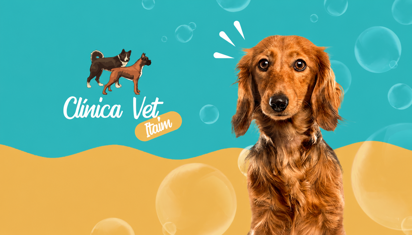 Projeto Clínica Veterinária Itaim